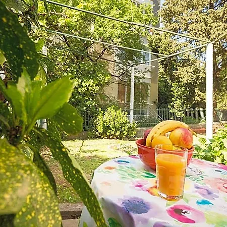 Tranquilo Garden *